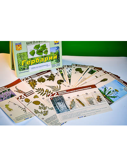 Гербарий к курсу основ общей биологии