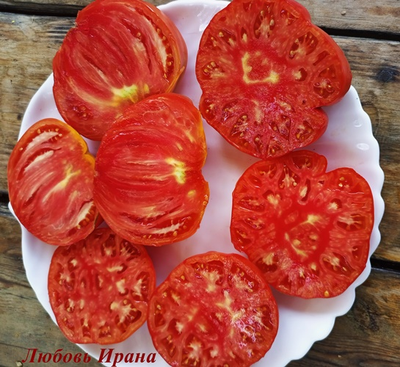 Томат Любовь Ирана