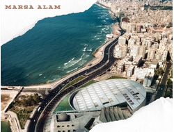 CAIRO AND ALEXANDRIA BY BUS FOR 2 DAYS
