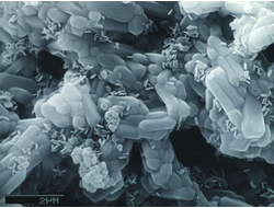 Vector Fluid Polish – полировочная суспензия с частицами гидроксиапатита для полировочных работ, объём: 200 мл.