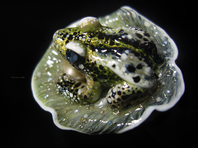 "Крылатая Мара, царевна Туманной топи", фэнтези-кольцо с жемчугом и лягушкой