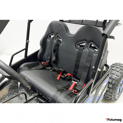 Багги GreenCamel Намиб T10 (60V20Ah 2000W R8 Дифф)
