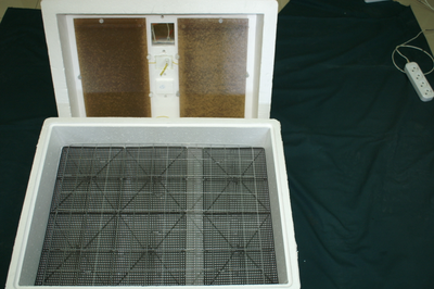 Автоматический инкубатор ИБ3НБ на 104  яйца с терморегулятором 220 В  (с электроприводом ЭП-5) / вариант 3