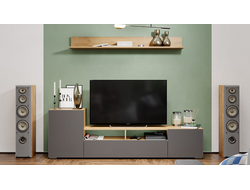 Гостиная Сильвия Тип 2 Дуб Крафт золотой/Графит матовый