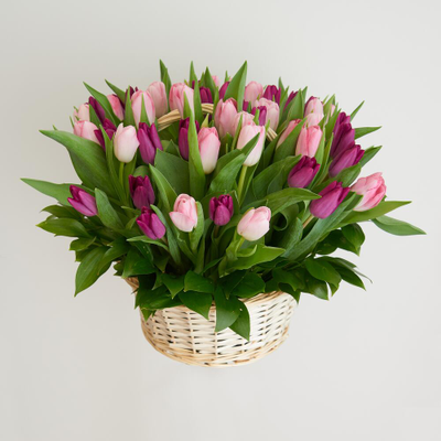 Корзина нежных тюльпанов