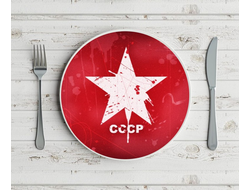 Тарелка СССР №4