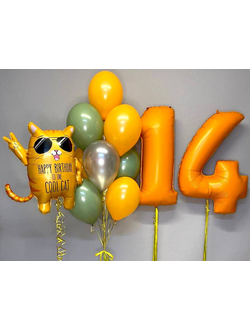 НАБОР ВОЗДУШНЫХ ШАРОВ "ВОЗДУШНЫЙ СЮРПРИЗ"