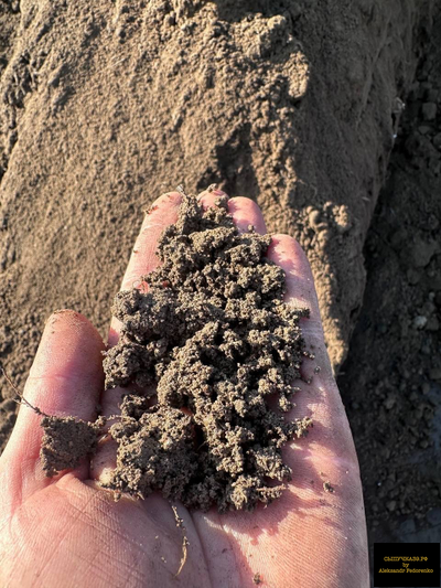 плодородный грунт коричневый