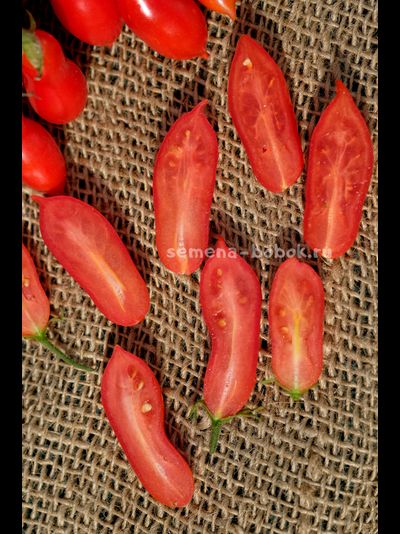 Томат Pelino 2014 (Пелино 2014), 7 шт