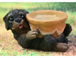 Кашпо Ротвеллер с чашей  11*21см  полистоун Россия 780//011076*