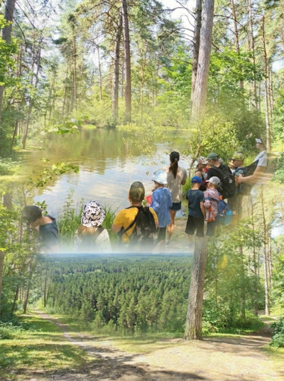 ЭКСКУРСИЯ «ЗАГАДКИ СОСНОВОГО БОРА»