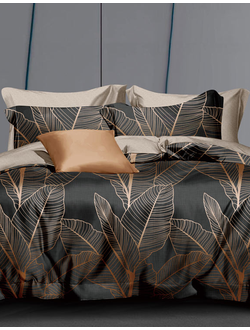 Постельное белье 2 спальное TANGO Dream Fly микросатин 180x210x1 220x245x1 50x70x2 DF02-464-50