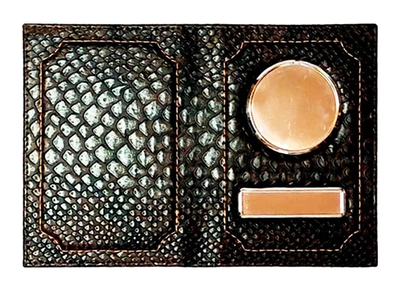 Автодокументы. Змея. Цвет: Коричнево-чёрный