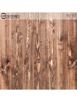 Пластиковый фотофон «Фонола»