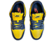 Nike Air Force 1 SB Dunk Low Michigan