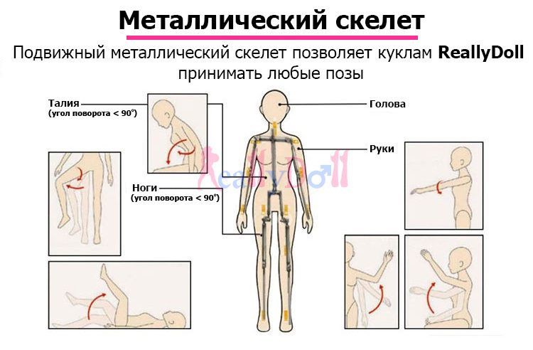 Металлический скелет ReallyDoll