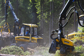 Вырубка леса под ЛЭП