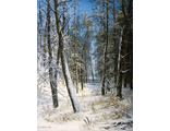 Зима в лесу, по мотивам картины Шишкина И.И.  (алмазная мозаика) mp-mz-mo