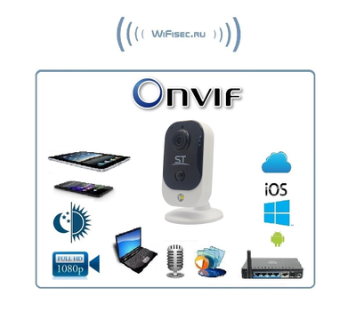 ST-242 IP Wi-Fi/LAN видеокамера, видеоняня для работы в помещении, с DVR. Full HD ( RXCamView)