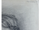 "Портрет мужчины в футболке" бумага карандаш Шерстнёва 1951 год