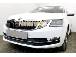 Защита радиатора Skoda Oktavia А7 2017- black