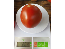 Томат Черный принц