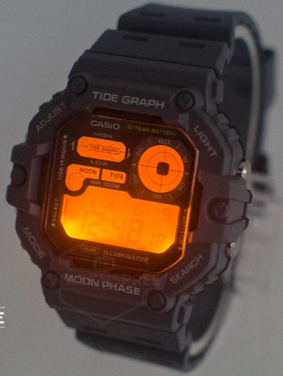 Часы Casio WS-1700H-1A