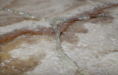 EB30 - ELKAY Полиэфирный Прозрачный Клей (800г.)