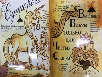 Дневник Стэна, Гравити Фолз №1