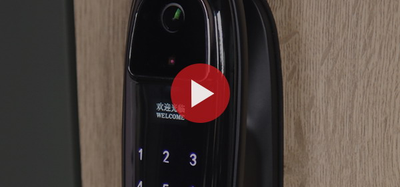 Стальная дверь   Ferrum (биометрический замок)