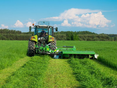 ⭐️Семена кормовых травосмесей  "Для ЛПХ" от 1 тонны