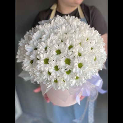 Огромная коробка ромашек