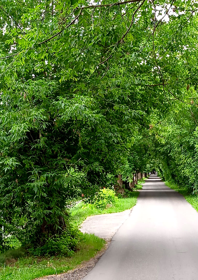 Пара постеров «Аллея» и «Дверь в лето» из коллекции «Оттенки лета».