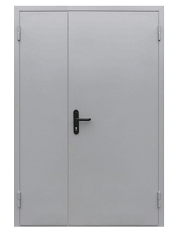 ТЕХНИЧЕСКАЯ МЕТАЛЛИЧЕСКАЯ ДВЕРЬ арт. ДТ-02