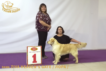 16 мес. Победа на монопородной выставке под норвежским экспертом Kari Granaas Hansen