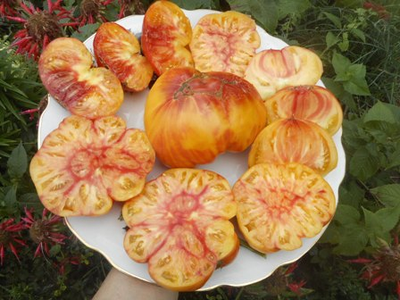 Томат Звезда Техаса (Texas Star)