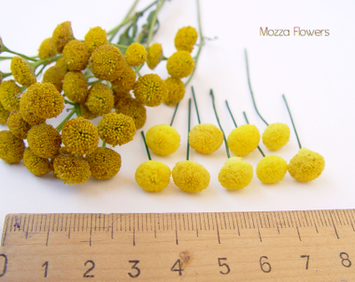 "Пижма" Силиконовый молд