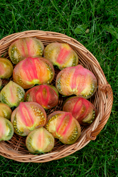 Томат Триумф Софии, 10 шт