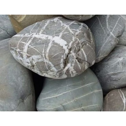 Валунчик паутинка