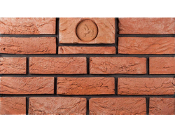 Кирпич с клеймом барса 215х102х65