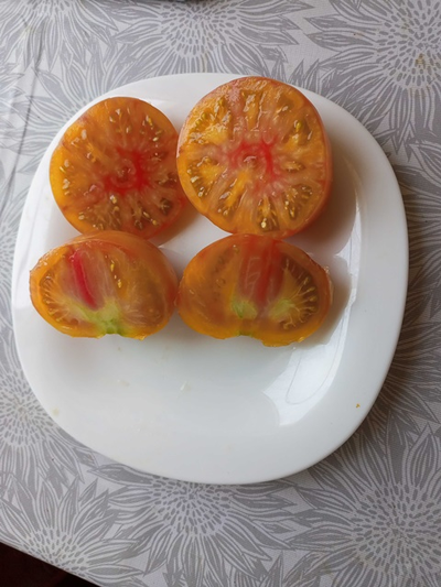 Томат Полосатые конфеты Уолтера (Walter’s Candy Stripes)