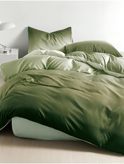 Постельное белье евро TANGO Dream Fly микросатин 200x220x1 220x245x1 50x70x2 DF03-513