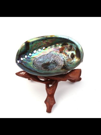 Ракушка 12-14 см.