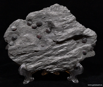 Гранат альмандин-пироповой серии с кристаллами дравита (разн. турмалина) в графитовом сланце. Red Embers mine. USA. 160*120*15мм. Редкость! (ААА)