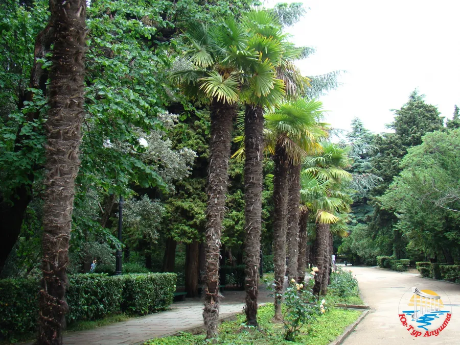 Парк в Гурзуфе