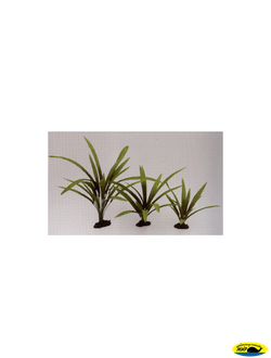 81004-13 Растение шелк. Криптокарина Балансе 13см