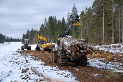 Бревна хвойные (ель, сосна) для устройства лежневых дорог 3 сорт ГОСТ 9463-88