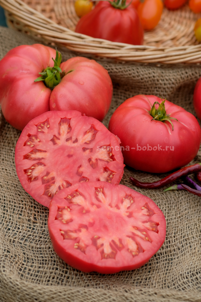 Томат Минусинский Безразмерный, 10 шт