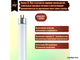 Philips TL-Mini TL4w/33-640 T5 G5