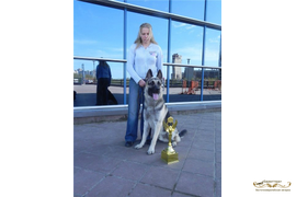 Камгар (Барталина Каскад х Аргон)